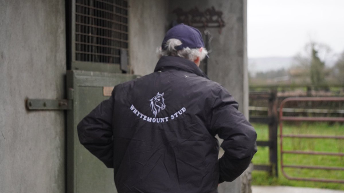 Day 1 of the ITM Stallion Trail is over. Thanks to all that came down and we’ll see some more of you tomorrow. #irishstalliontrail