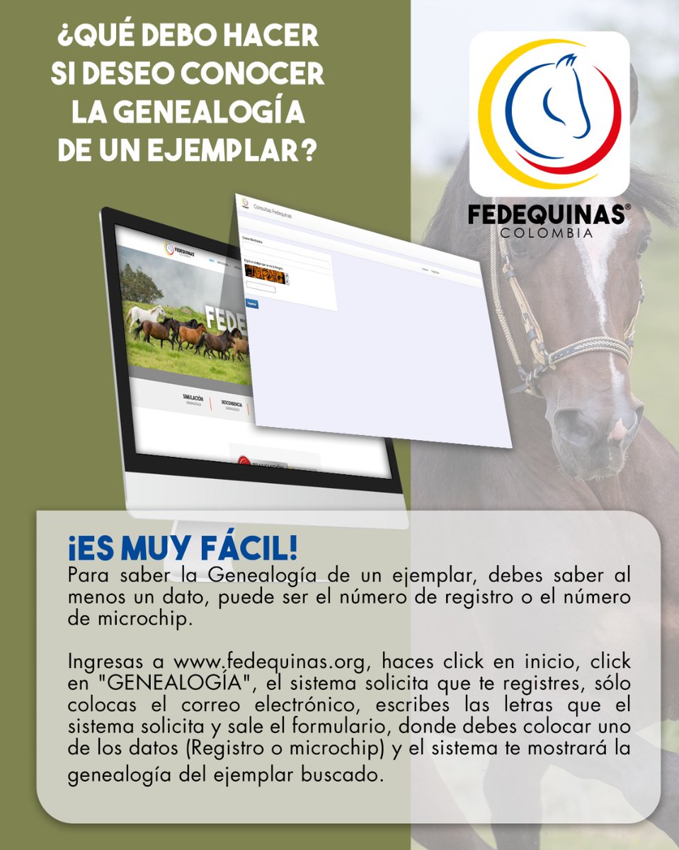 FedequinasOrg's tweet image. ¿Qué debo hacer si deseo conocer la genealogía de un ejemplar?☝🏻

¡Fedequinas más cerca de todos!

#Fedequinas #Procedimientos #Gremio #ccc #Colombia