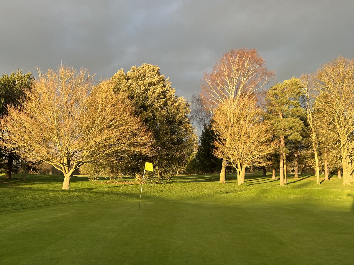 LinksNewmarket's tweet photo. ⁦@LinksGolfClub18⁩ Course walk Friday evening. Greens in mint condition, enjoy your game this weekend. #HalfwayHouse#Golf https://t.co/mWqgUwxigw