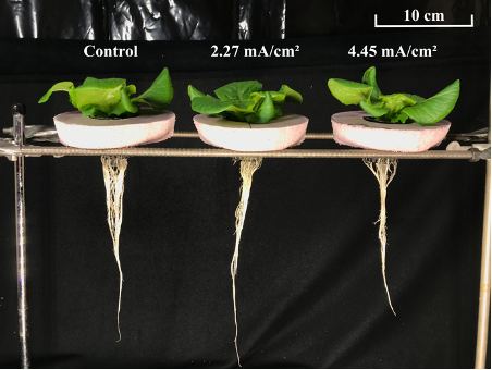 Electric surge⚡️ tweet media