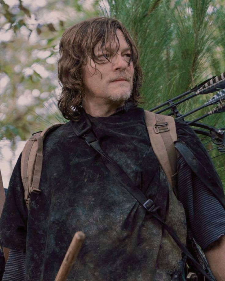 Norman Reedus as Daryl Dixon