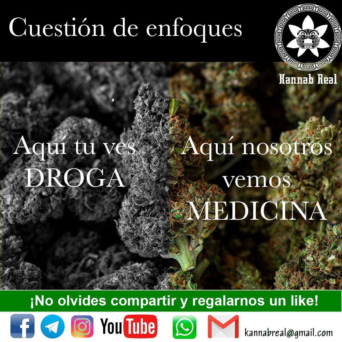 KannabReal's tweet photo. Donde tu ves DR-GA, nosotros vemos MEDICINA, es cuestión de ENFOQUES, #KannabRealMedicinal #PotenciaCalidadyPrecio #consultoriocannabico #cannabismedicinal #cannabislifestyle #CannabisLegalYa #piel #mujer #Cáncer #mujerperfecta #QUISTESyMIOMAS #cancerdemama #sexocannábico #Sexo https://t.co/TiwL2J2nQ9