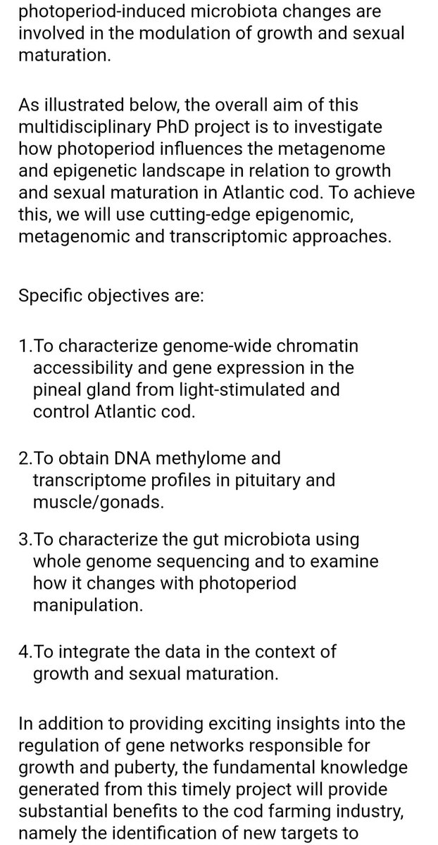 Ioannis Konstantinidis tweet media