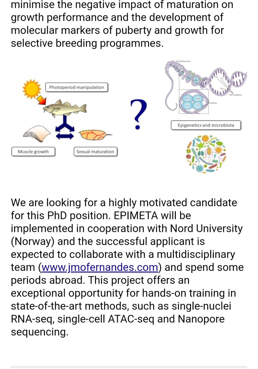 Ioannis Konstantinidis tweet media
