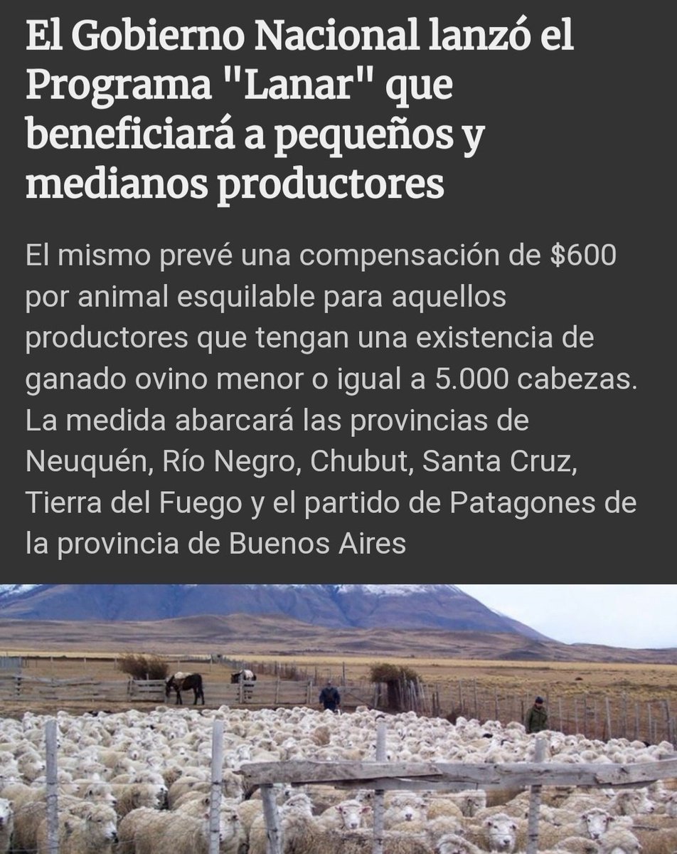 eugealia's tweet photo. Quienes conocemos la realidad de los pequeños y medianos productores ovinos patagónicos, celebramos la puesta en marcha del programa #Lanar de @Economia_Ar. A través del mismo, se compensará económicamente a este sector productivo para impulsar su crecimiento
@SergioMassa https://t.co/RFiXLpubwo
