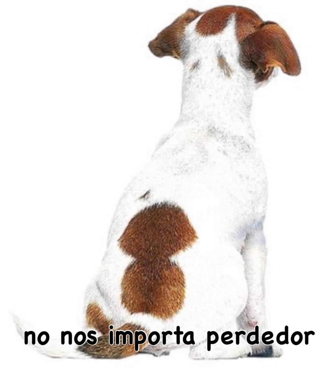 x_rplx's tweet photo. adios twitter ya me fui https://t.co/X5rZb6kJTA