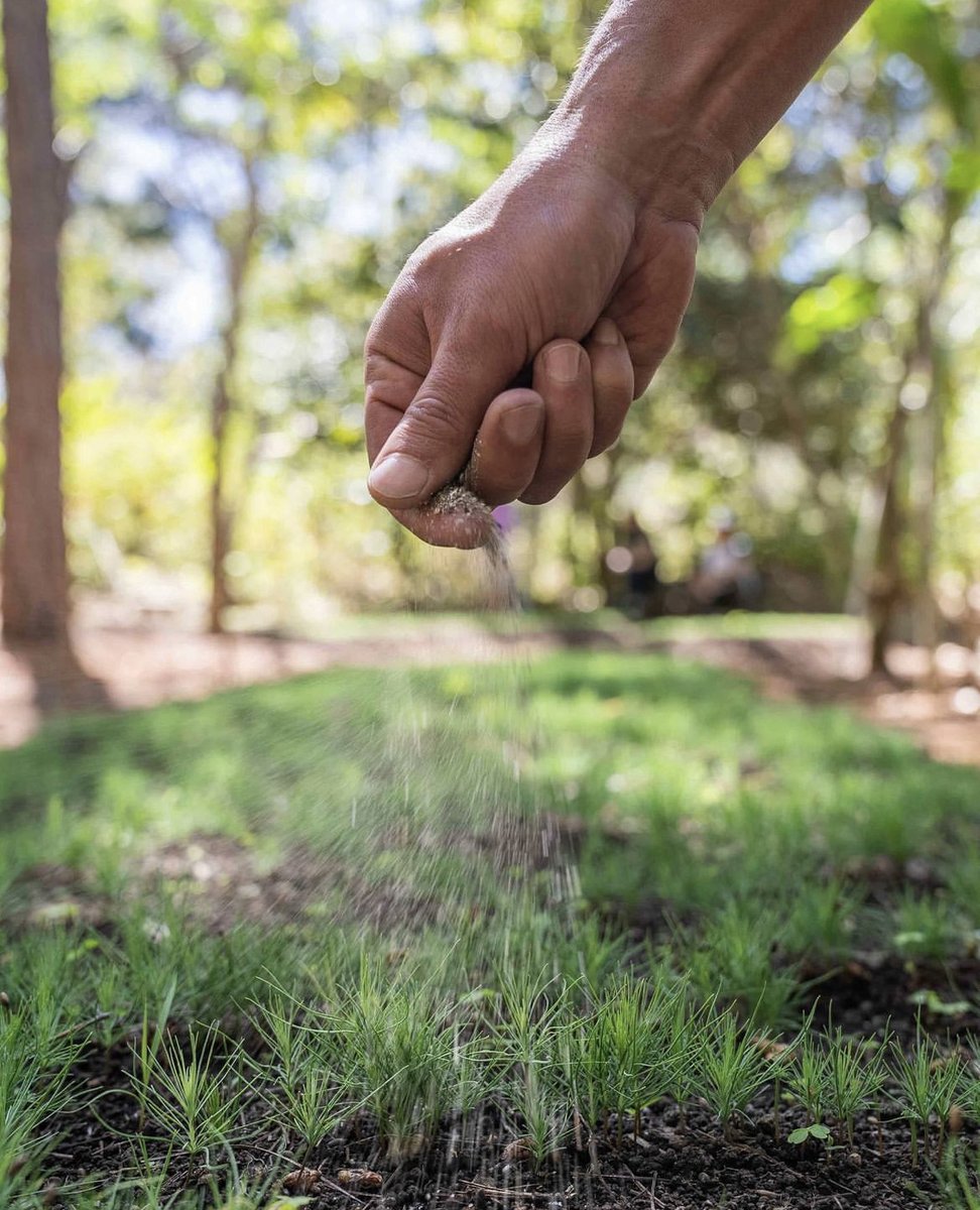 Small actions lead to big impacts. 
 
Learn how you can help sustain and grow our global forestry system one print job at a time!
hubs.ly/Q01wVgkP0