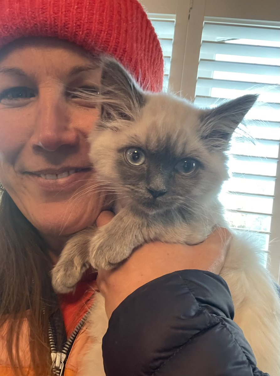 Liz Tomkinson tweet media