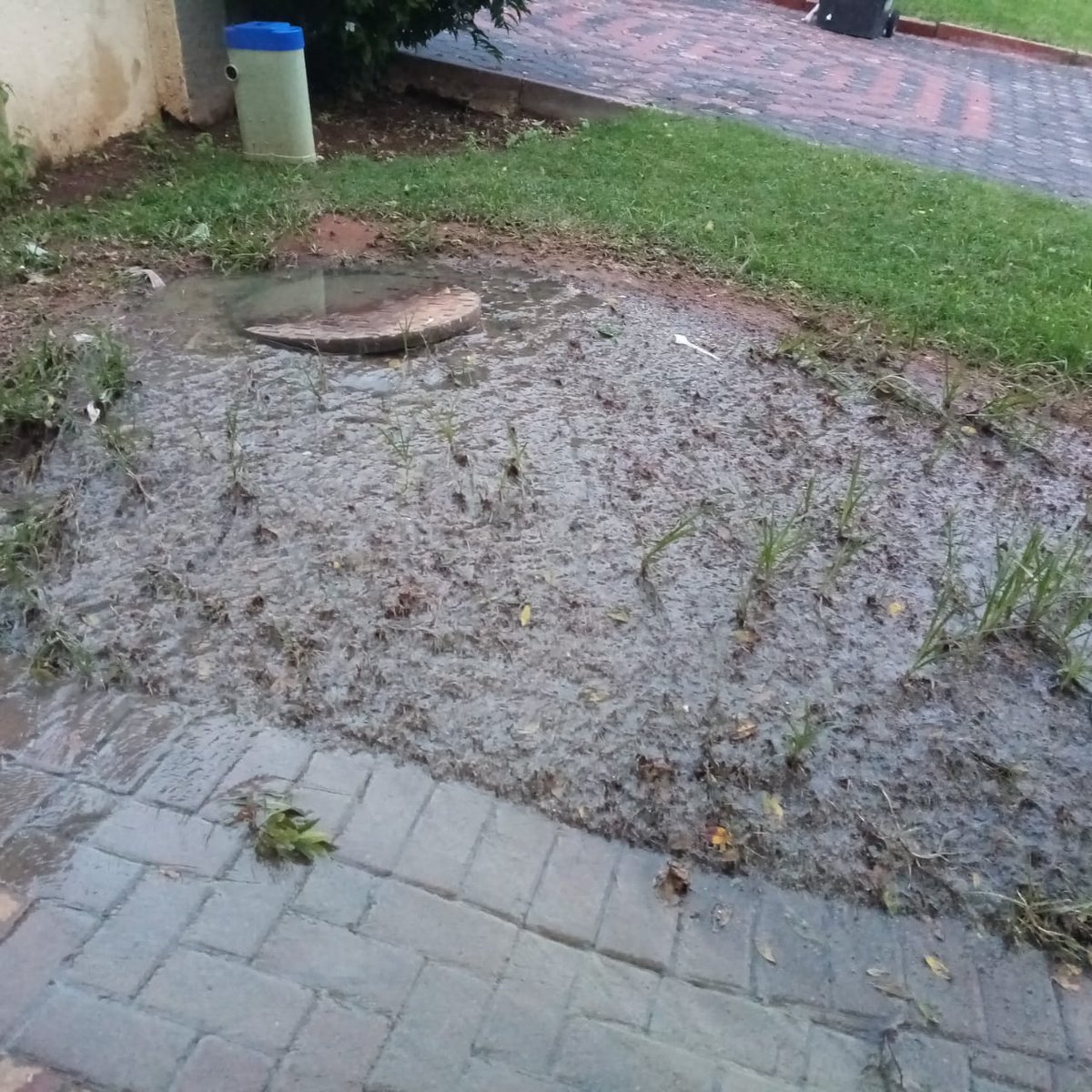 GiNO768's tweet photo. Raw sewerage running down the street from sidewalks outside 6 Sinkliene cnr Chert Street, Old #Fleurhof @JHBWater @CalebFinn1 @CityofJoburgZA  Please assist with unblocking #HealthHazard #Ward70 https://t.co/yt7urlMhsq