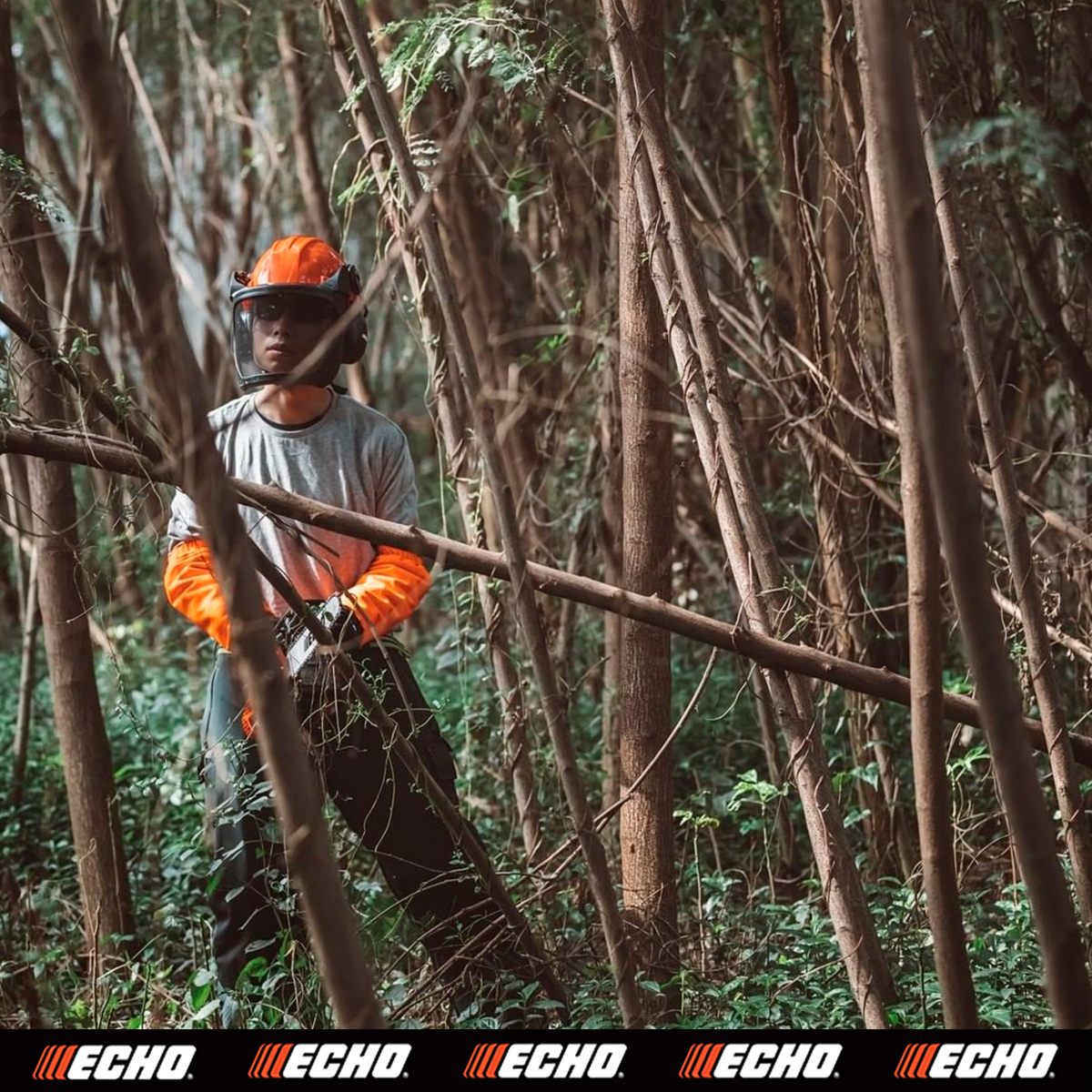 Algunas de nuestras motosierras son tan pequeñas y ligeras que, aunque para tareas profesionales como las de la fotografía... ¡Ni se ven de lo minis que son! 
#ECHO #DependOnIt #Jardineria #Forestal