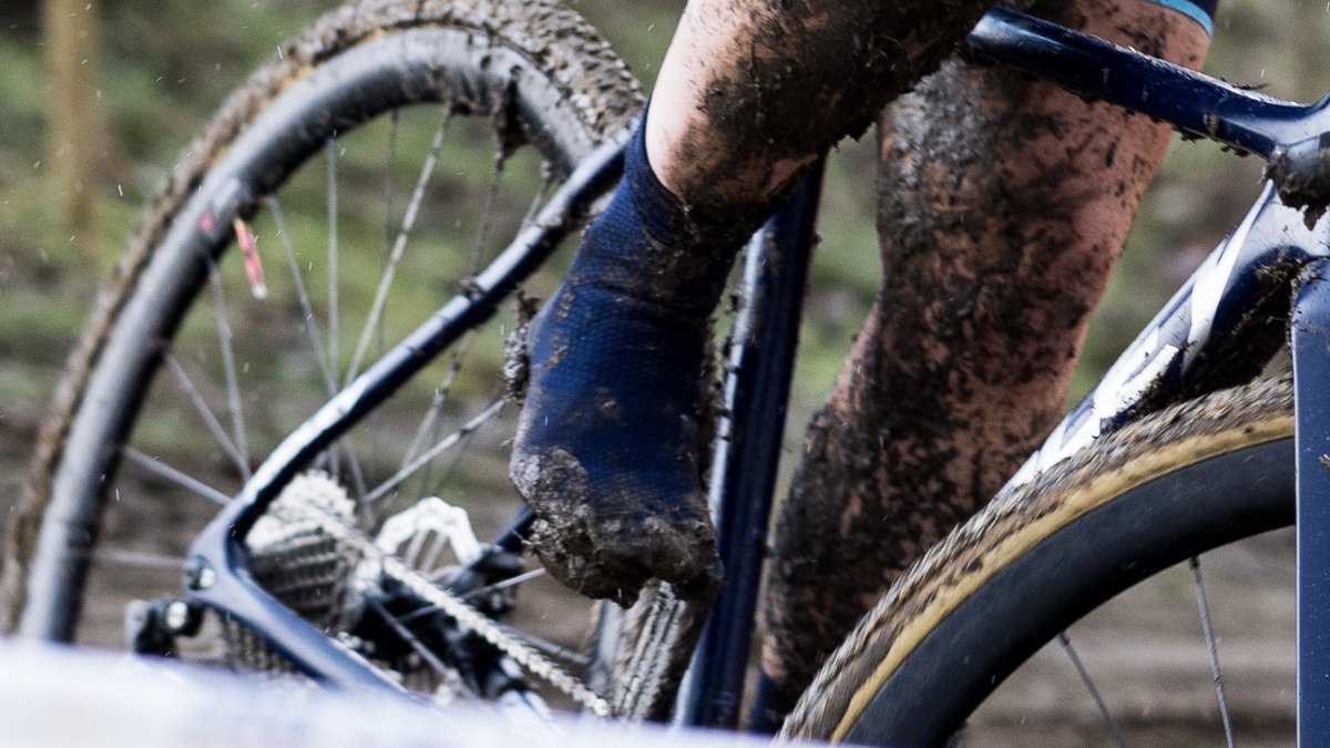 Amy Perryman tweet media