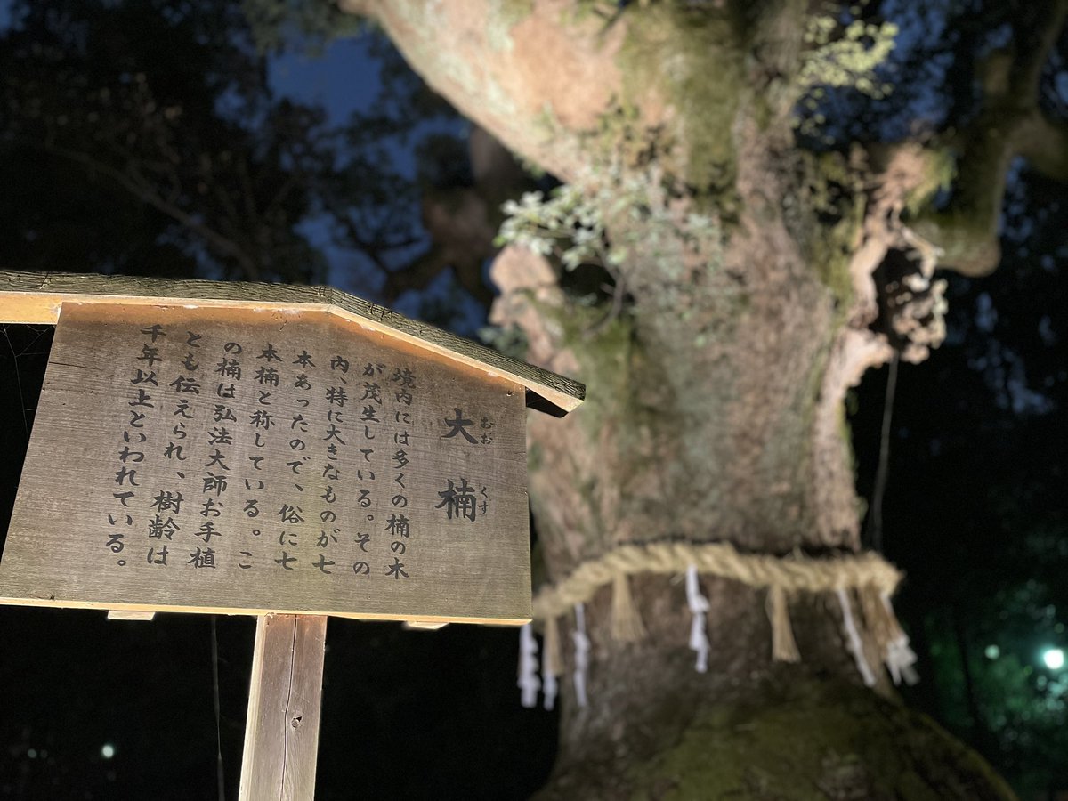 8324FX's tweet photo. 参拝客はまばら
幻想的な御守りの売店
樹齢千年の楠 https://t.co/oQPlilqc32