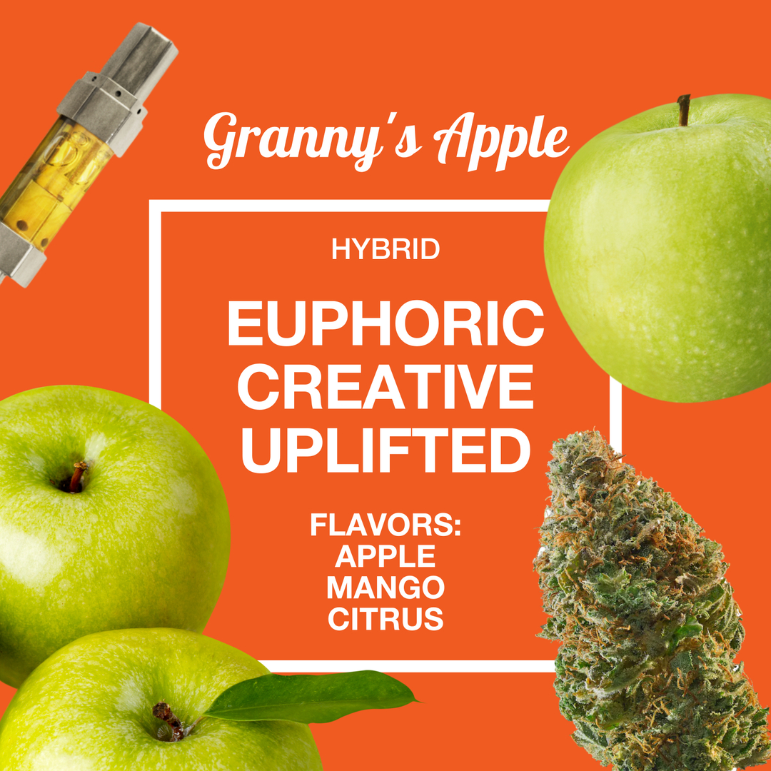 seshbycraft tweet media