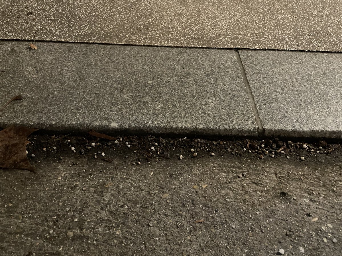 velotaflyon's tweet image. Quelqu’un a t-il déjà envisagé de « goudronner » ces bordures aux intersections de la piste cyclable sur Garibaldi ? Car chargé, j’ai plusieurs fois abîmé mon chargement et c’est clairement ce qui me fait choisir le chaussidoux à la place 😬 @LaVilleaVelo @maisonvelolyon