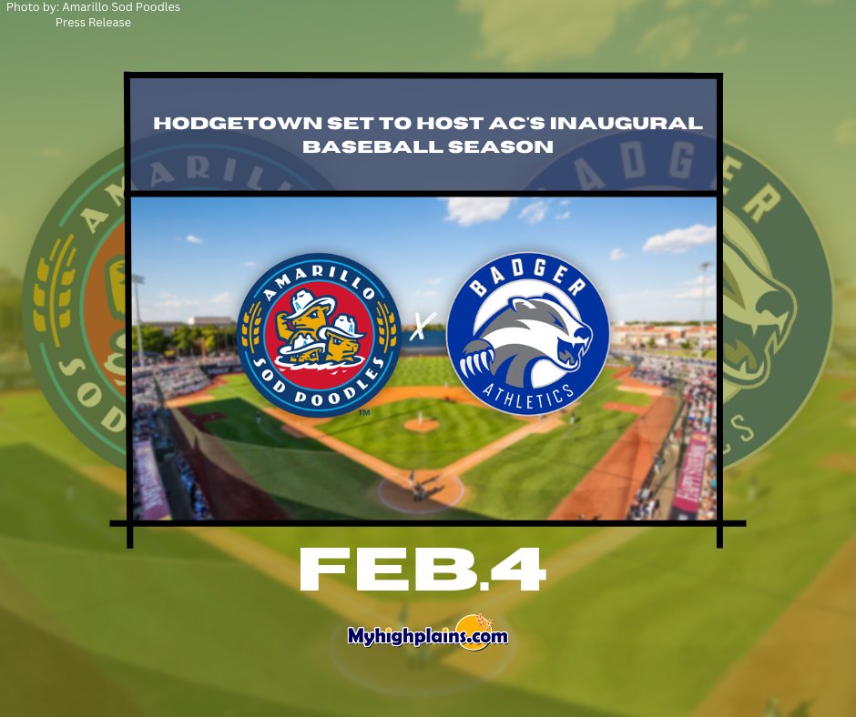 KAMRLocal4News's tweet photo. The Amarillo Sod Poodles and HODGETOWN are set to host the first Amarillo College baseball season starting on Feb. 4. 
 
Details: https://t.co/xneDi2st8j https://t.co/u3hSVEIjKv