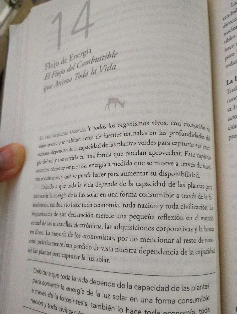 87lAlexvilla's tweet photo. @AllanRSavory hasta el momento la mejor reflexión del libro!!!;🌱

#manejoholistico https://t.co/96zQX3ZhJn