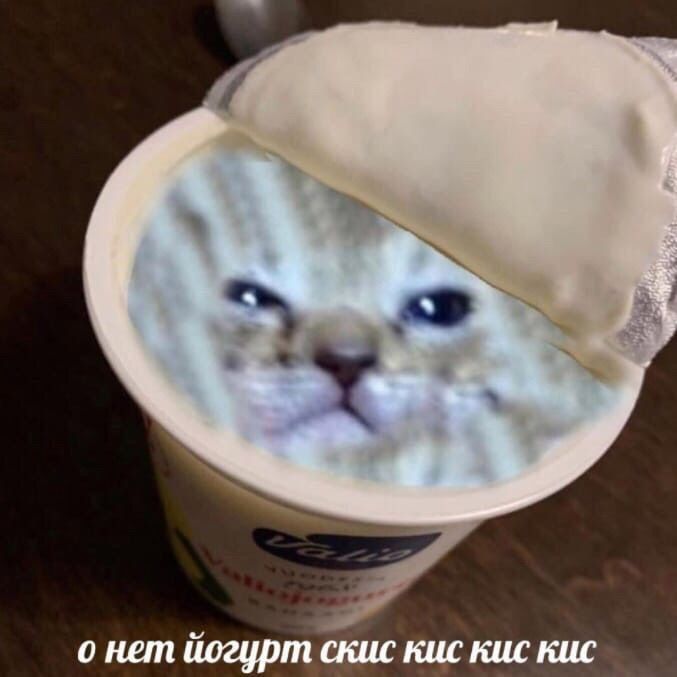 ___ren__ren____'s tweet photo. Как-то раз я упомянала о том, что собираюсь разъезжаться с матерью весной.
Но эта женщина после пары скандалов решила, что я не просто съезжаю в другую квартиру, а уёбываю до 9 марта, и не важно как 🙂🙂🙂 https://t.co/Z0FEJdkeka