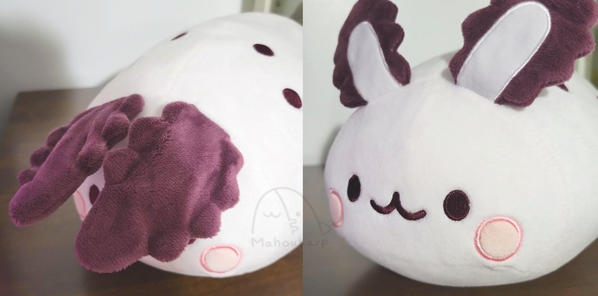 Do Sea Bunnies Have Paws