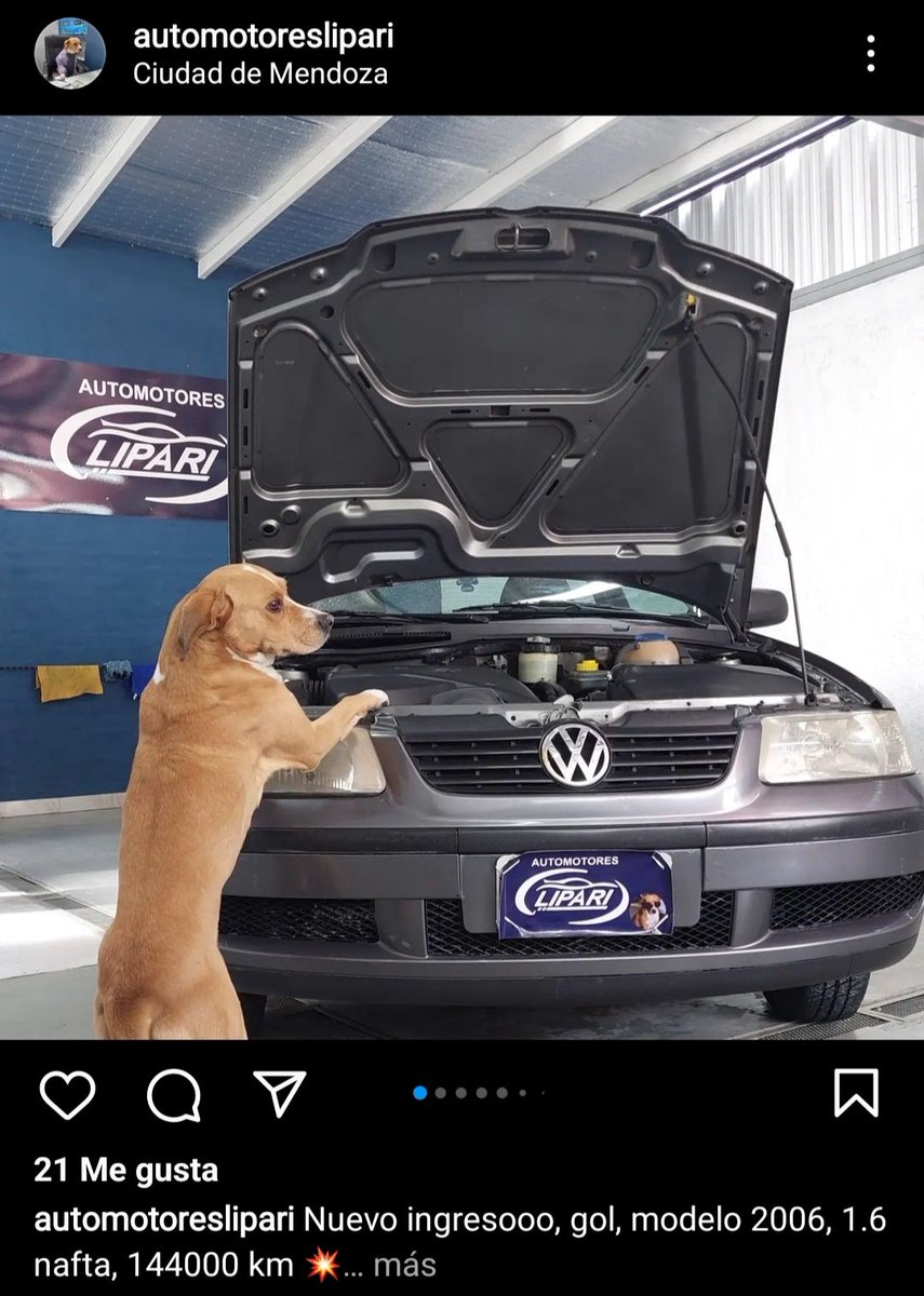 FrancoOlivetti7's tweet photo. Acá en Mendoza hay una agencia que publica los vehículos que tiene a la venta con perritos jajajaja los tkm. https://t.co/Uk6HBnQ2QL