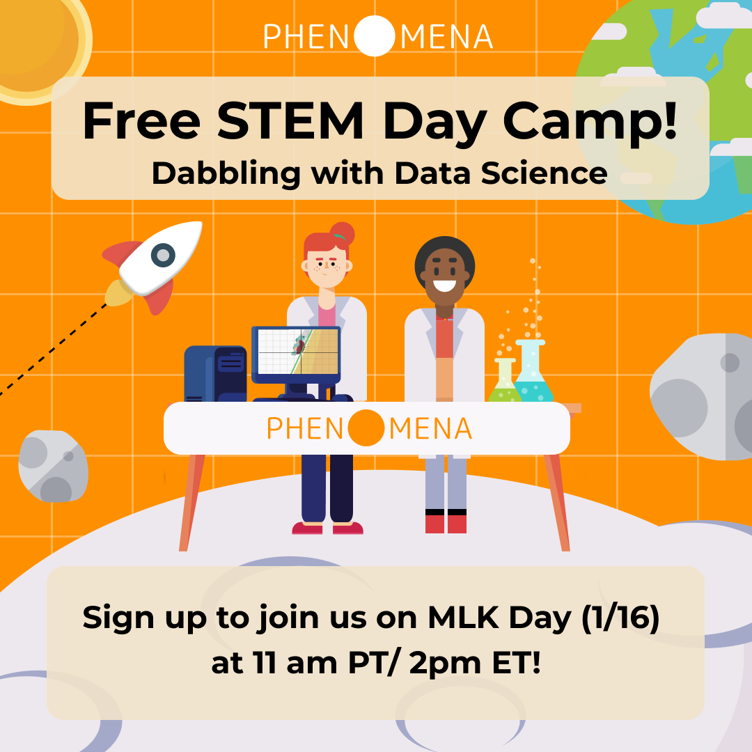 Phenomena tweet media