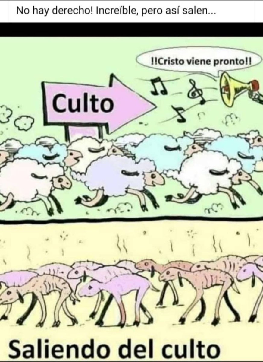 O_MEDINA5's tweet photo. @7MarcoFidelR https://t.co/3GZgc51Got
