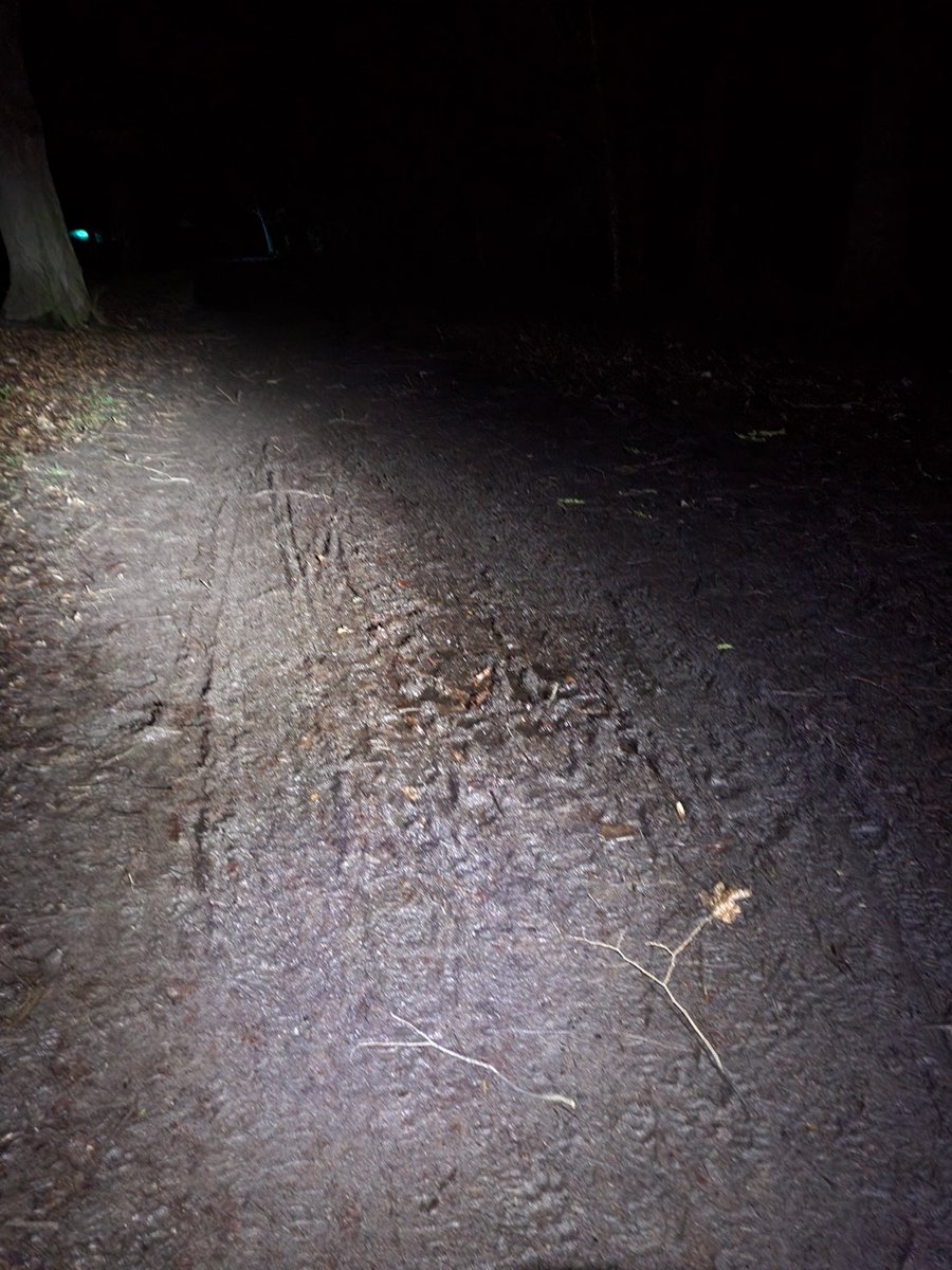 It's going to be slippy in places tomorrow morning. Bit more rain due overnight.

Maybe get the trail shoes on for the morning #loveparkrun