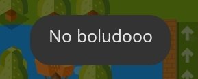 no boludooo