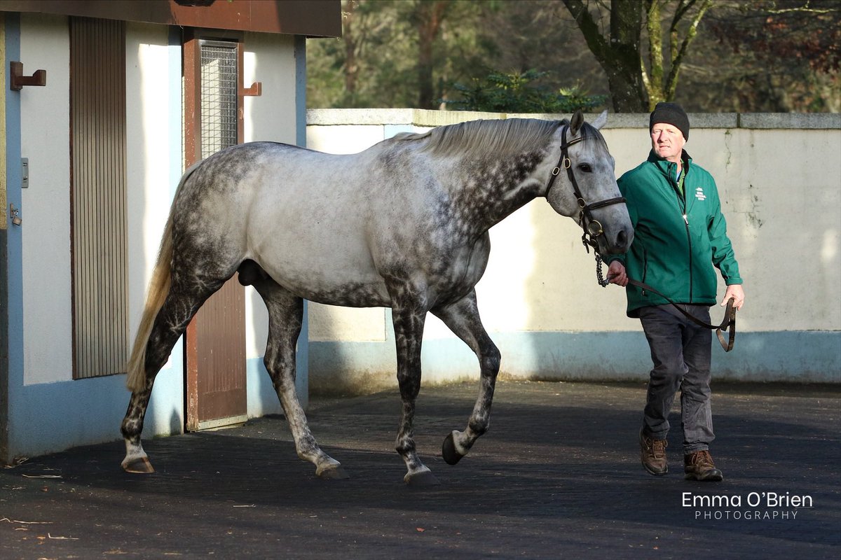 Emma O’Brien tweet media