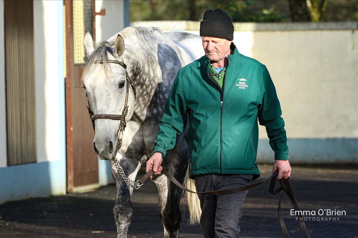 Emma O’Brien tweet media