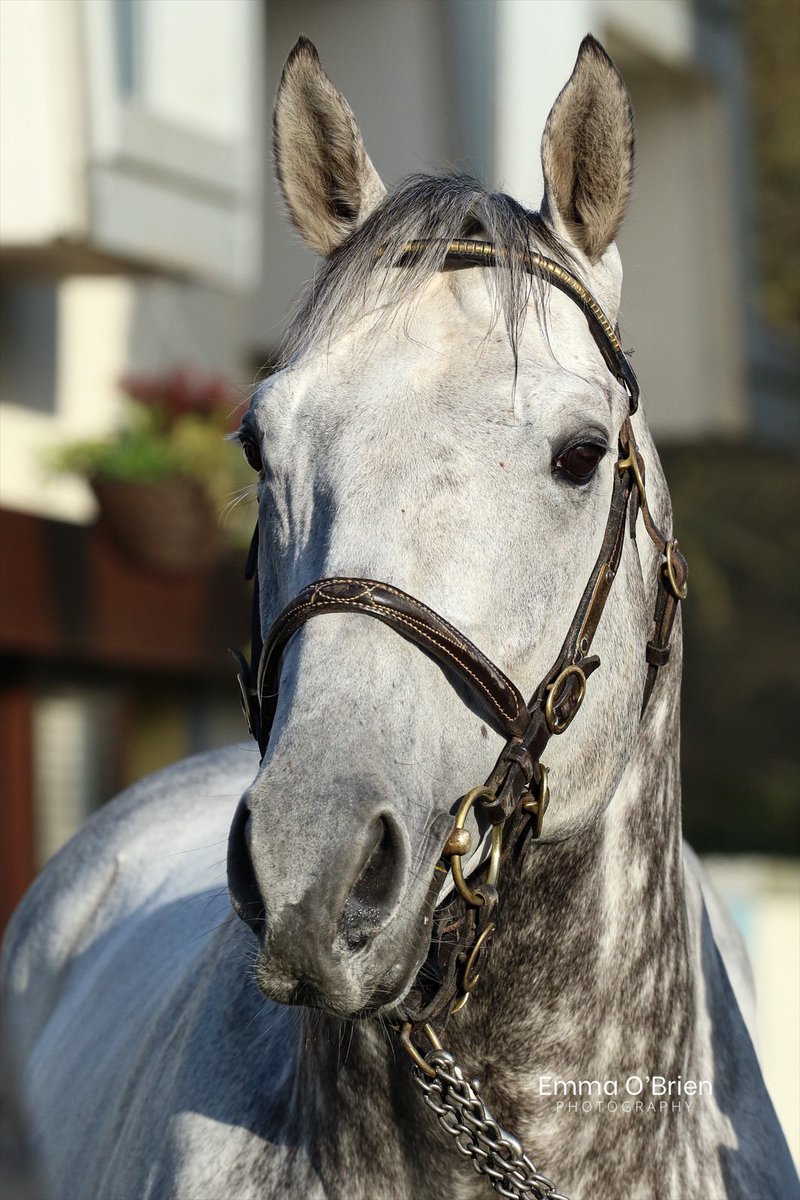 Emma O’Brien tweet media