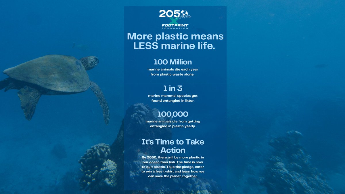 Footprint Foundation tweet media