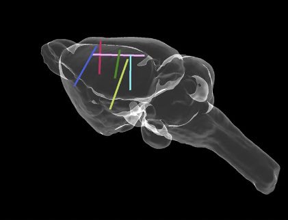 Happy to announce that HERBS is out on elife!; 
Here’s the link to our GitHub page: github.com/Whitlock-Group…
My first paper from the Whitlock group, and many more to come!