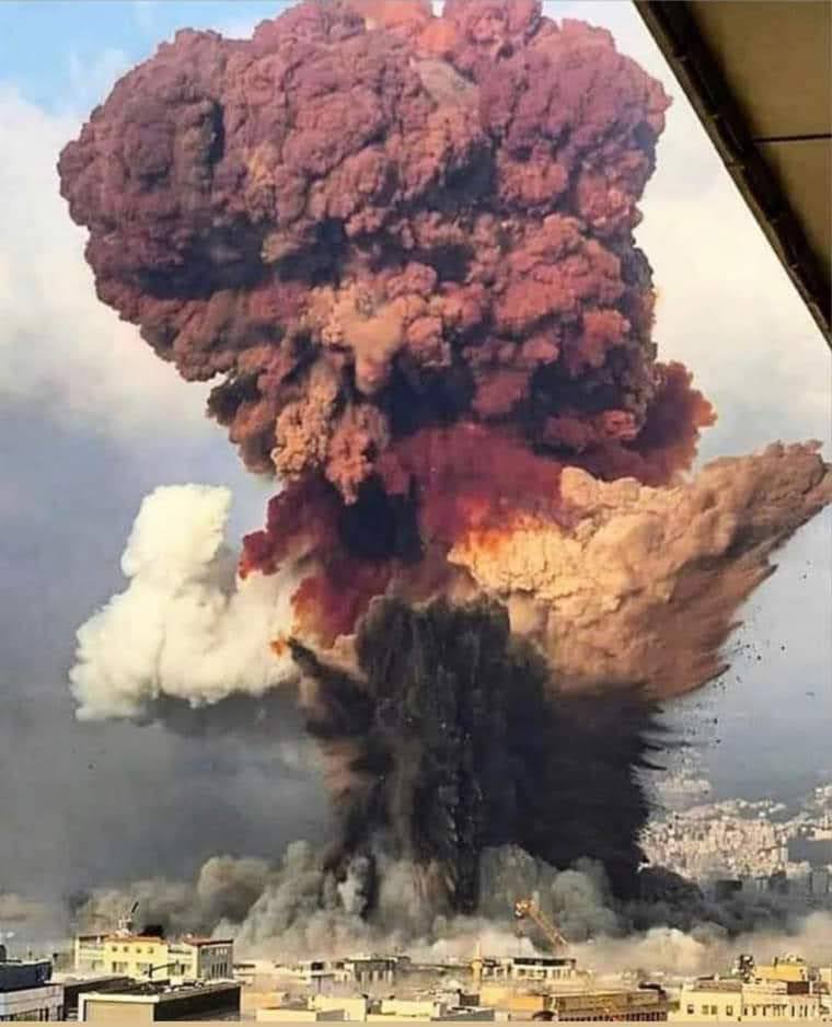 دولة بتوقف #وليم_نون لاتهامو بديناميت وما وقفت يلي خزن وفجر و #كان_يعلم 
#دولة_على_مين