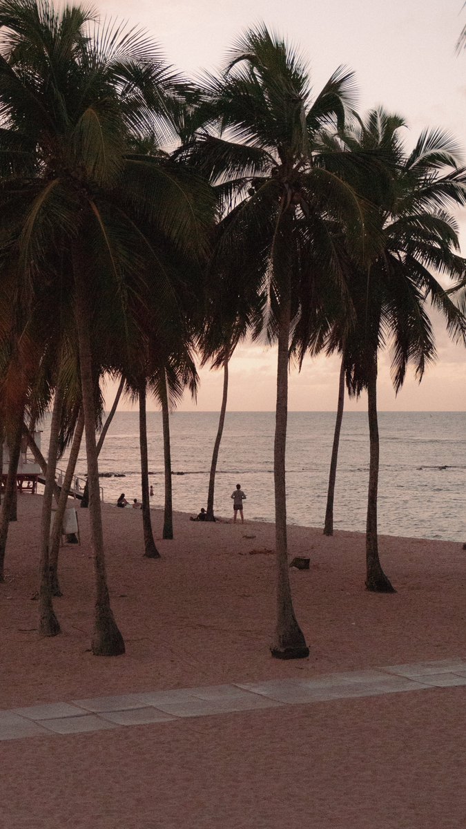 luissantiagojpg's tweet image. 12.01.2023 : The afternoon 

#alphacollective #dailyphoto #photography