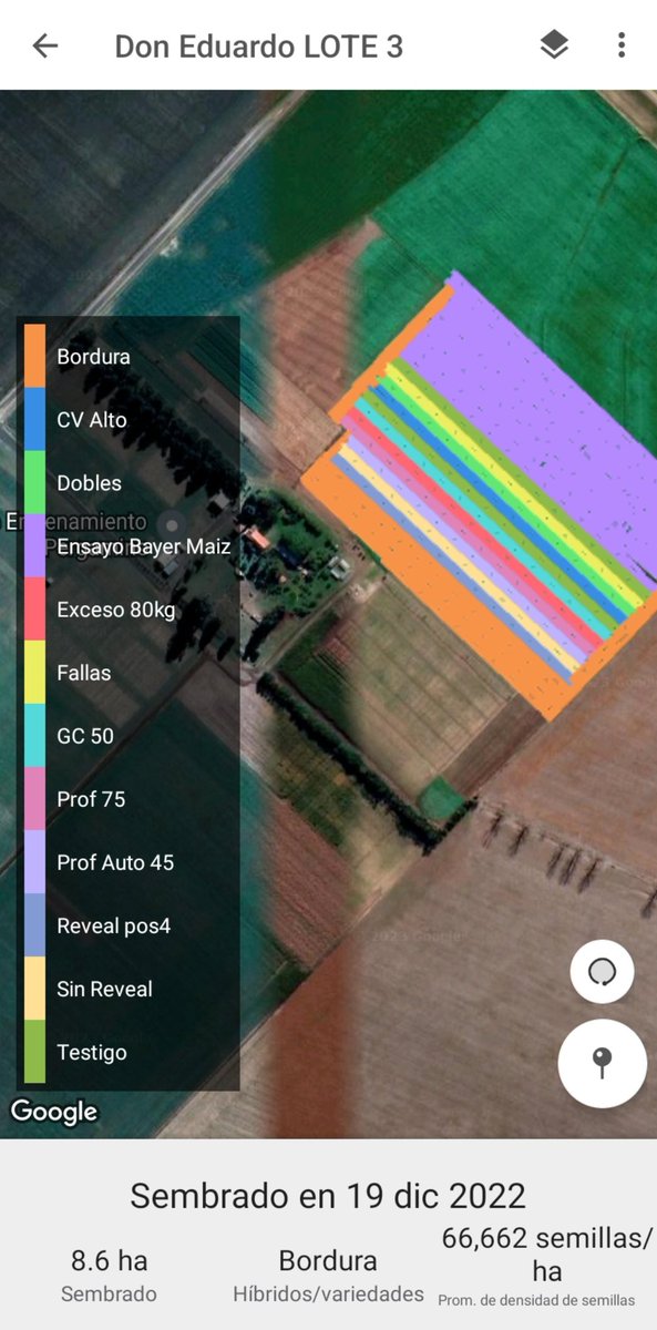 Lore Garcia 🌱🌽🌎✈🐾🎾 tweet media