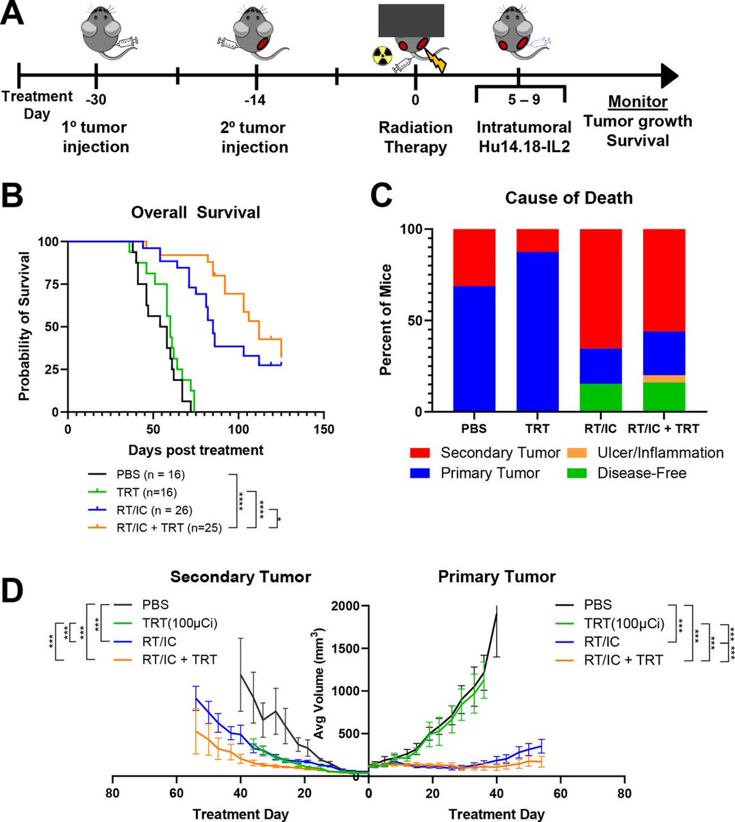 jitcancer's tweet photo. New #JITC article: Radiation to all macroscopic sites of tumor permits greater systemic antitumor response to in situ vaccination https://t.co/TEJU0wcVrQ @PeterCarlsonMD @PiepsTweeets https://t.co/DMJB8RqIYb