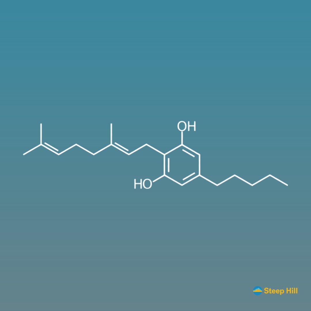 Did you know that many cannabinoids are derived from cannabigerolic acid (CBGA), making Cannabigerol (CBG) known as the "mother of all cannabinoids"? CBG is a precursor to CBD, THC, CBC, and many other cannabinoids.