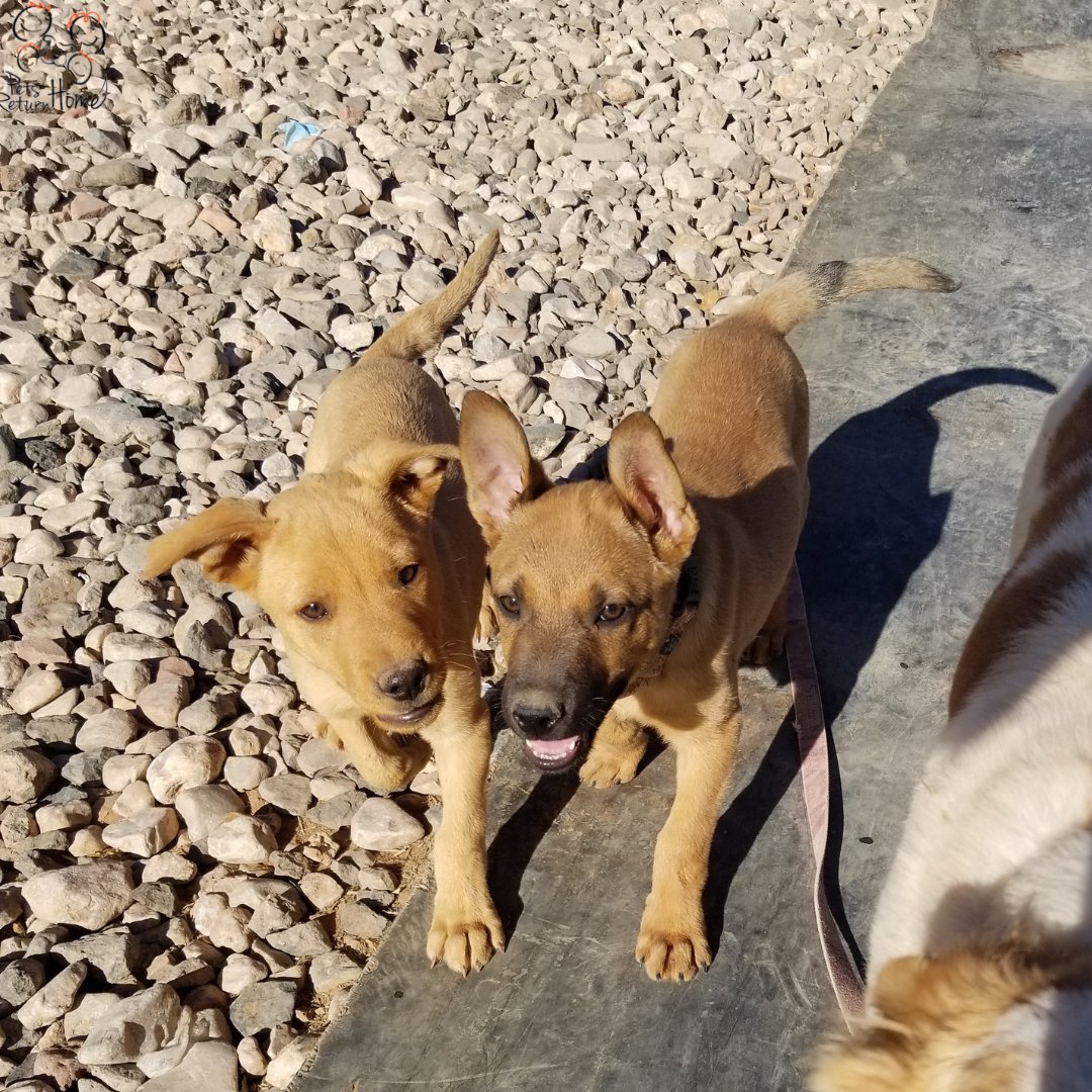 Saving Lives tweet media