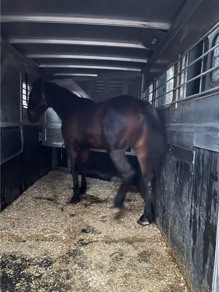 Kimberly Hale tweet media