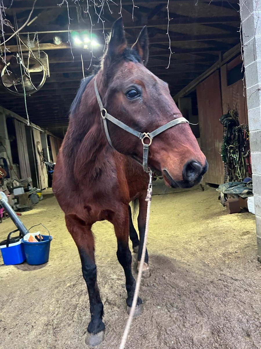 Kimberly Hale tweet media