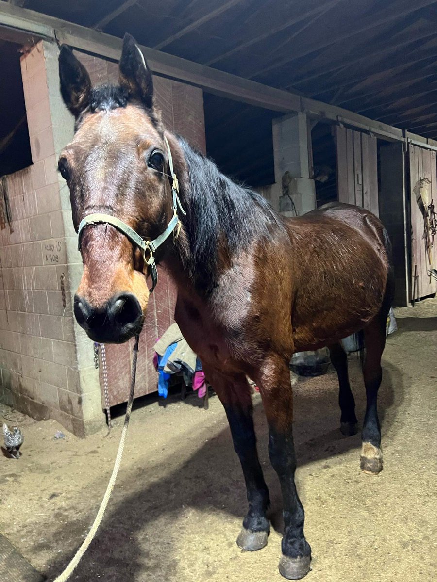 Kimberly Hale tweet media