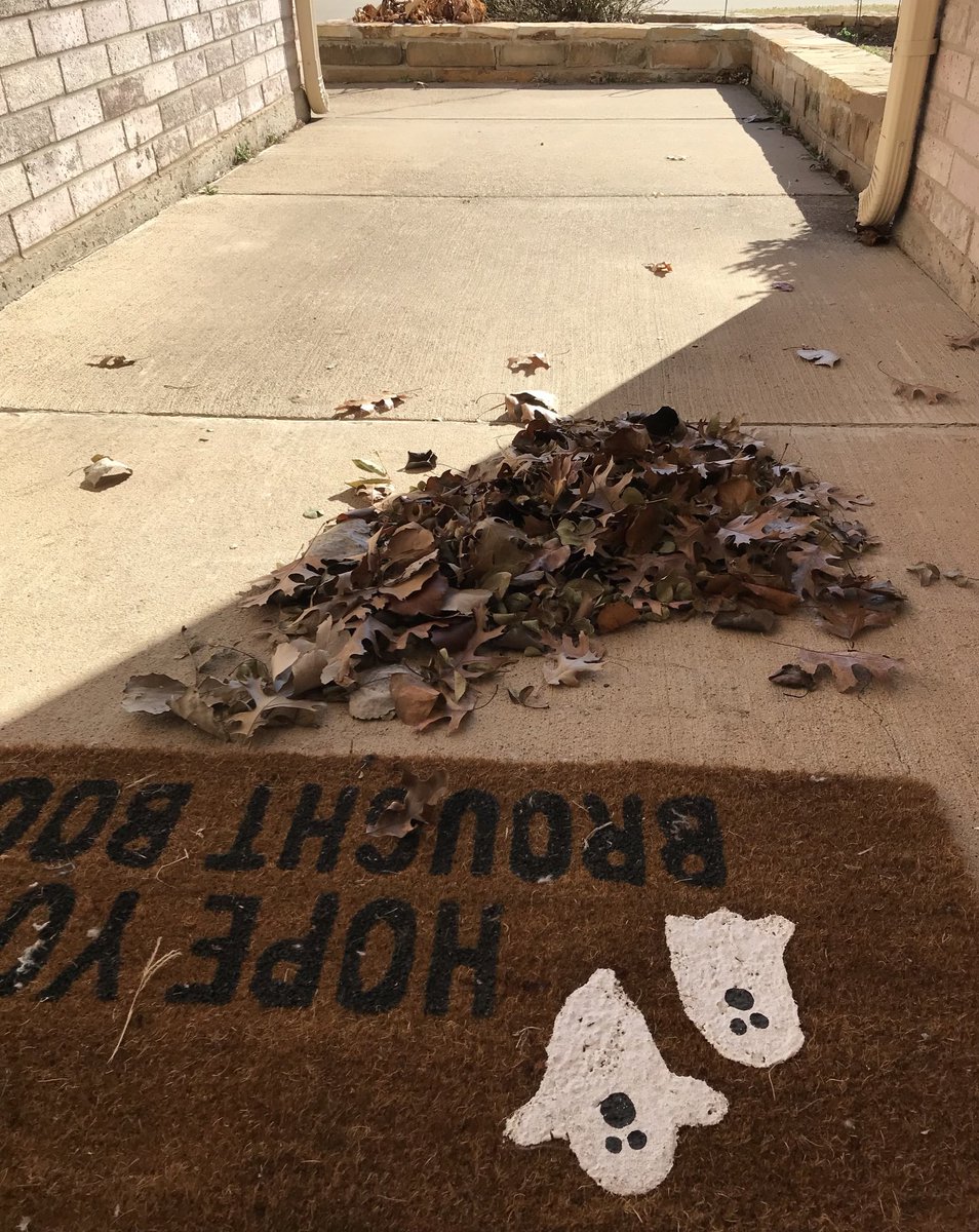 VMundae's tweet image. I think I have been visited by the Fairy of the Element of the Air! 🌬️#FridayThe13 #Friday #WeekendEve #Gift #ElementOfTheEast #ElementOfAir #Libra