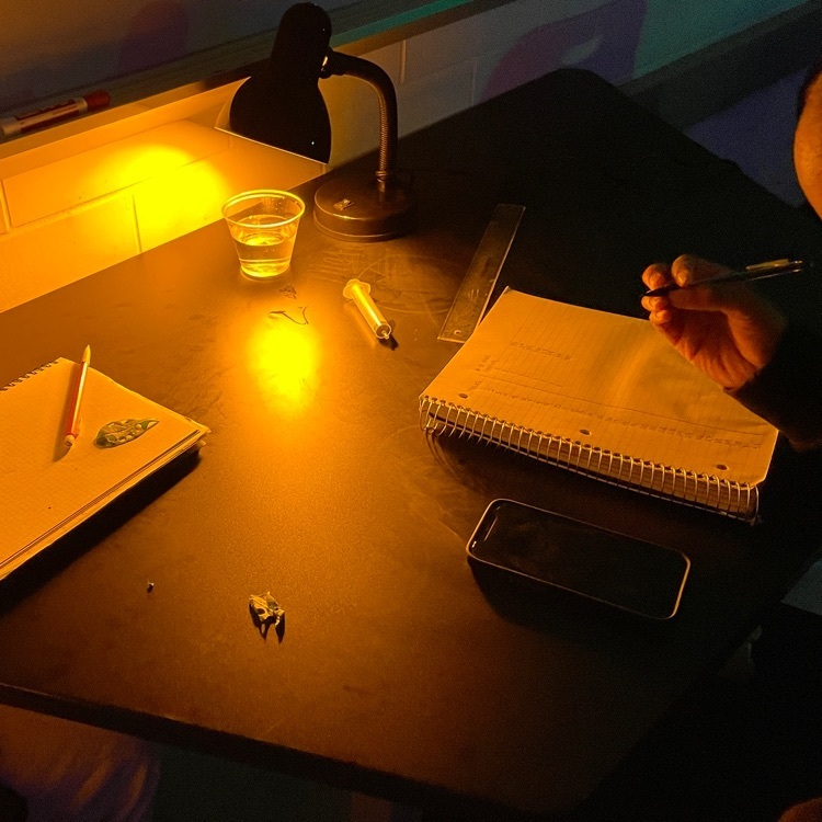 AfftonHS's tweet photo. Why not end the week with a little bit of color? Honors Bio uses different color lights to test the rate of photosynthesis. #afftonlearns https://t.co/CbNboXsyyL