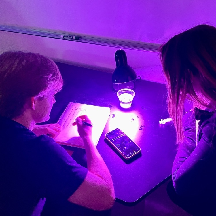 AfftonHS's tweet photo. Why not end the week with a little bit of color? Honors Bio uses different color lights to test the rate of photosynthesis. #afftonlearns https://t.co/CbNboXsyyL