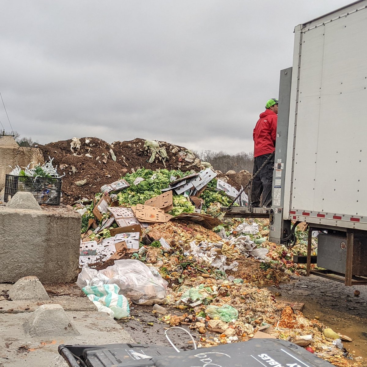 Better Earth tweet media