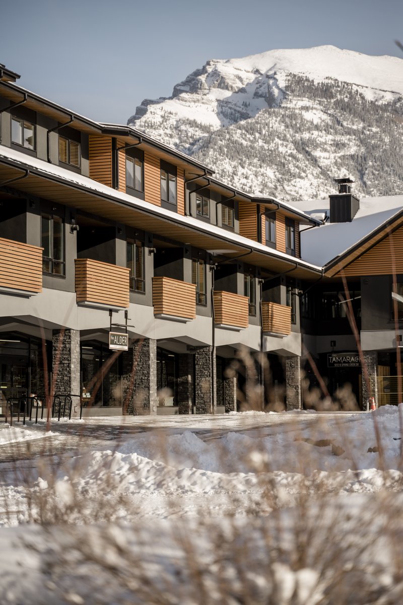 Spring Creek tweet media