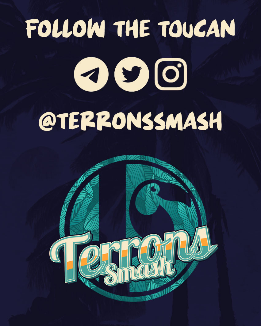 Terrons Smash tweet media