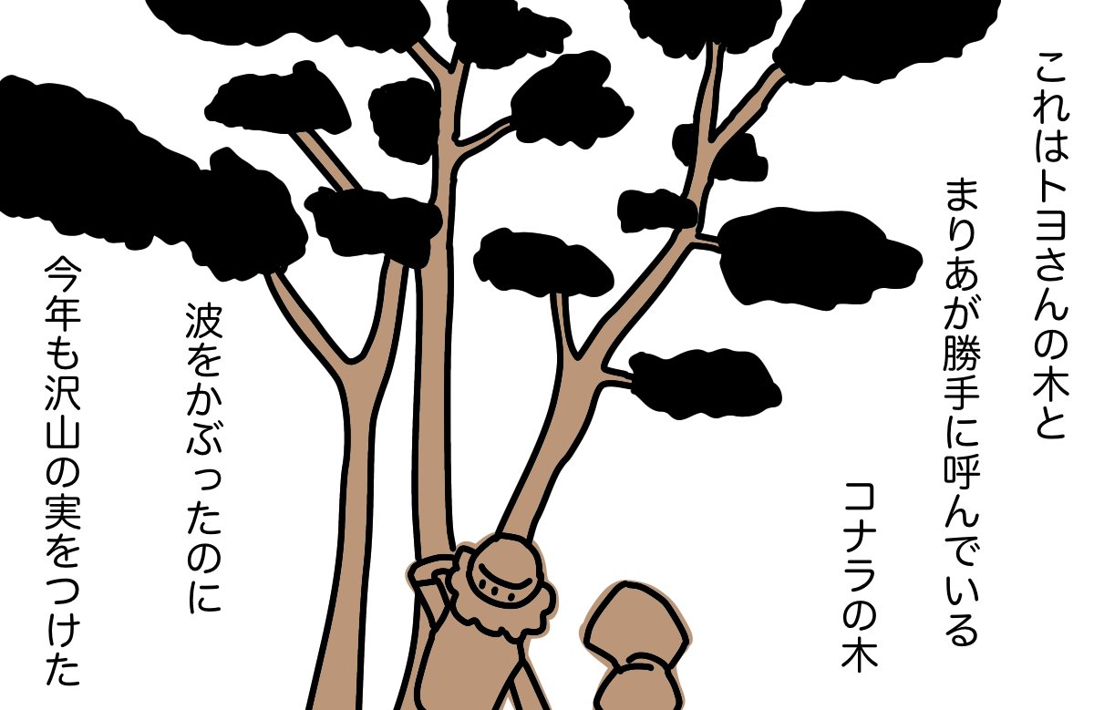 #どんぐり 04 