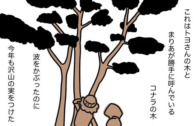 #どんぐり 04 