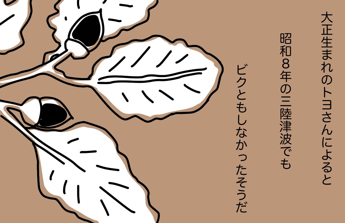 #どんぐり 04 